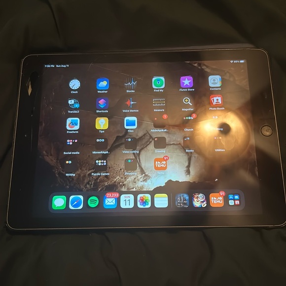 Apple iPad - Picture 1 of 4